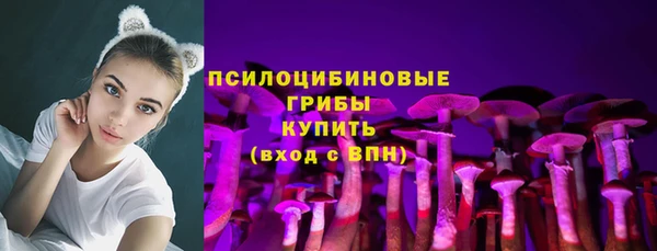 герыч Ступино