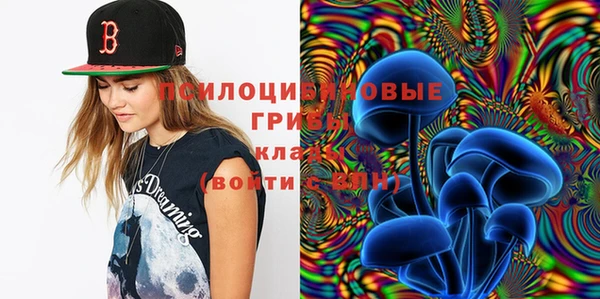 герыч Ступино